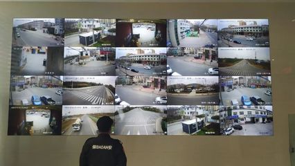 “小”网格筑牢“大”保障 滨北街道推动网格服务精细化系统监控服务实践